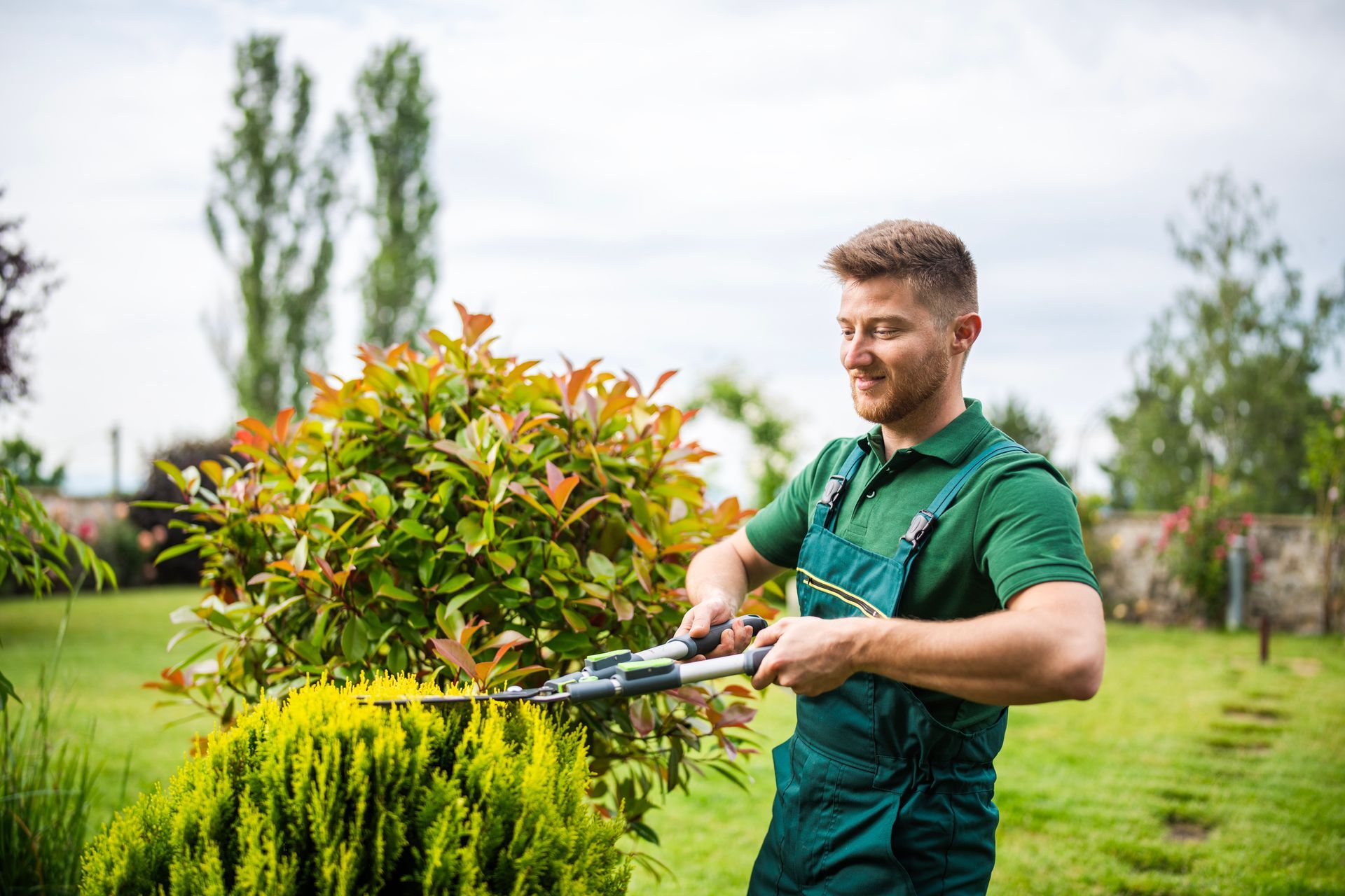 Professional gardener trimming hedge as part of expert residential tree service maintenance work.