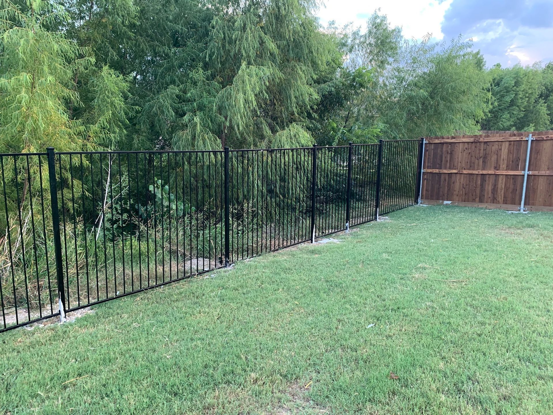 Black metal fence along a grassy yard with trees and a wooden privacy fence in the background