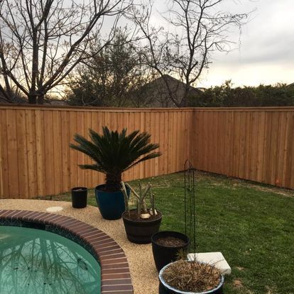 Backyard pool corner with potted plants, wooden fence, and bare trees at dusk