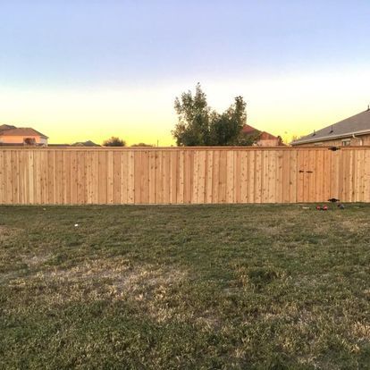 Backyard lawn at sunset with a tall wooden privacy fence and neighboring rooftops visible.