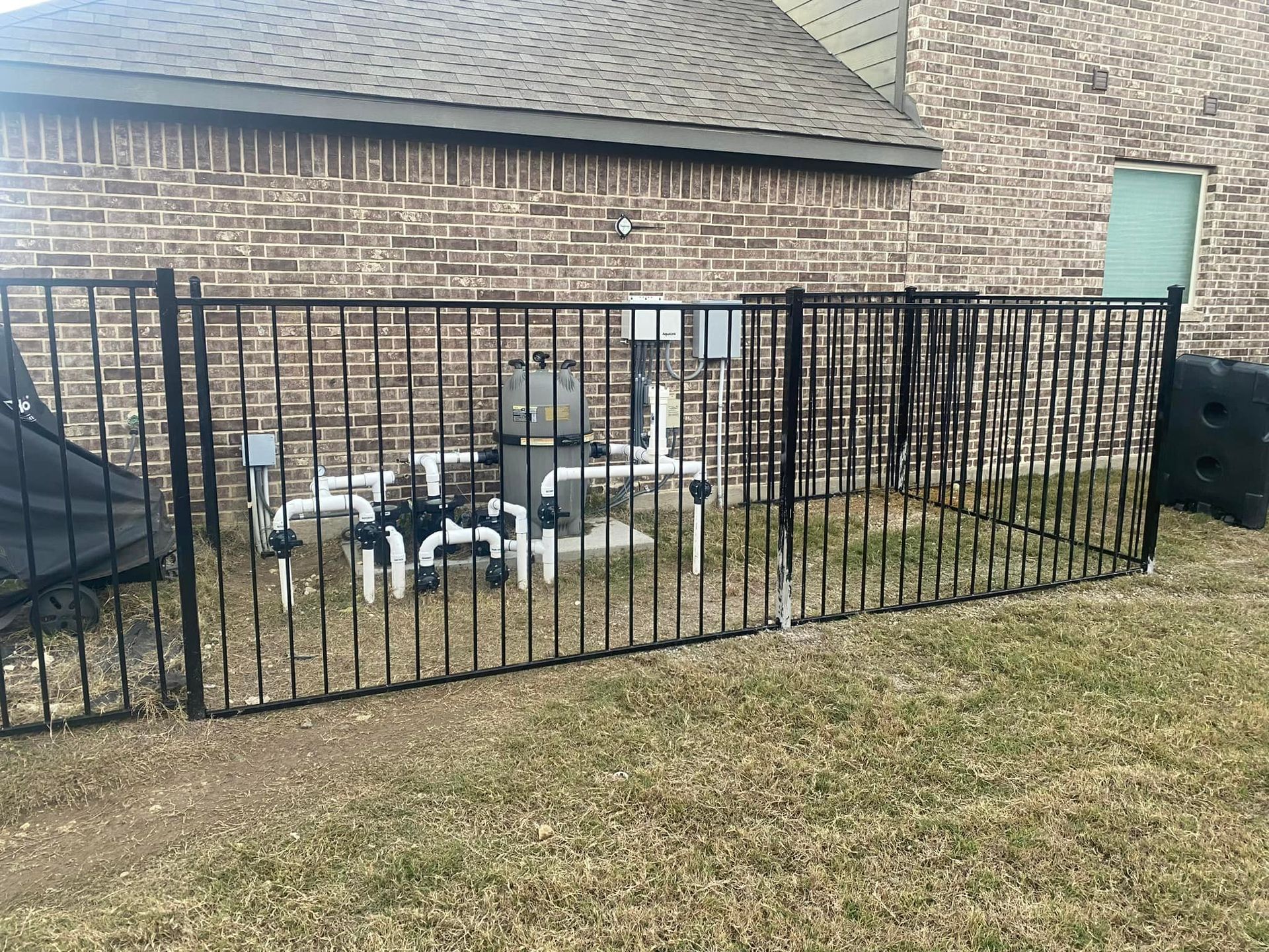 Black-and-white ducks gathered behind a black metal fence beside a brick house and grassy yard