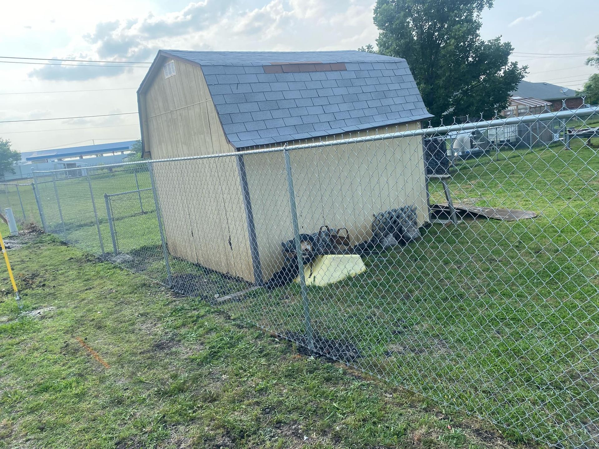 Small beige shed with a blue roof behind a chain-link fence in a grassy yard.