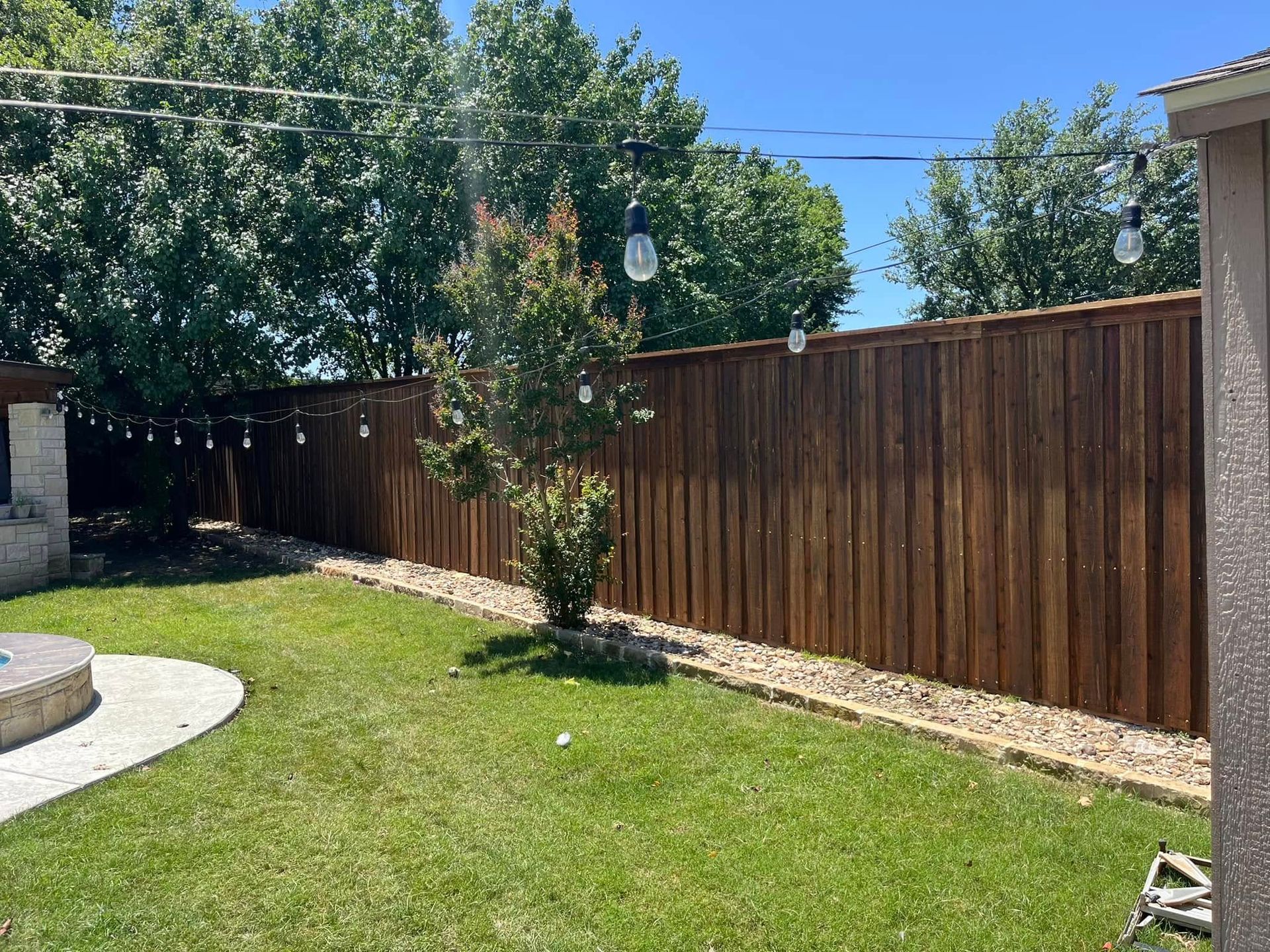 Sunlit backyard with green lawn, tall wooden fence, and a young tree under a clear blue sky