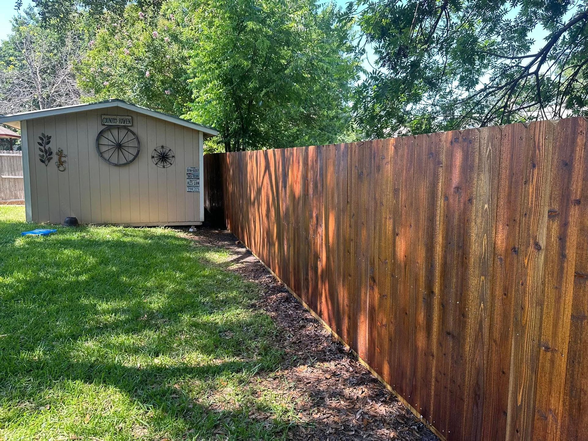 Backyard with wooden privacy fence beside a beige shed under trees