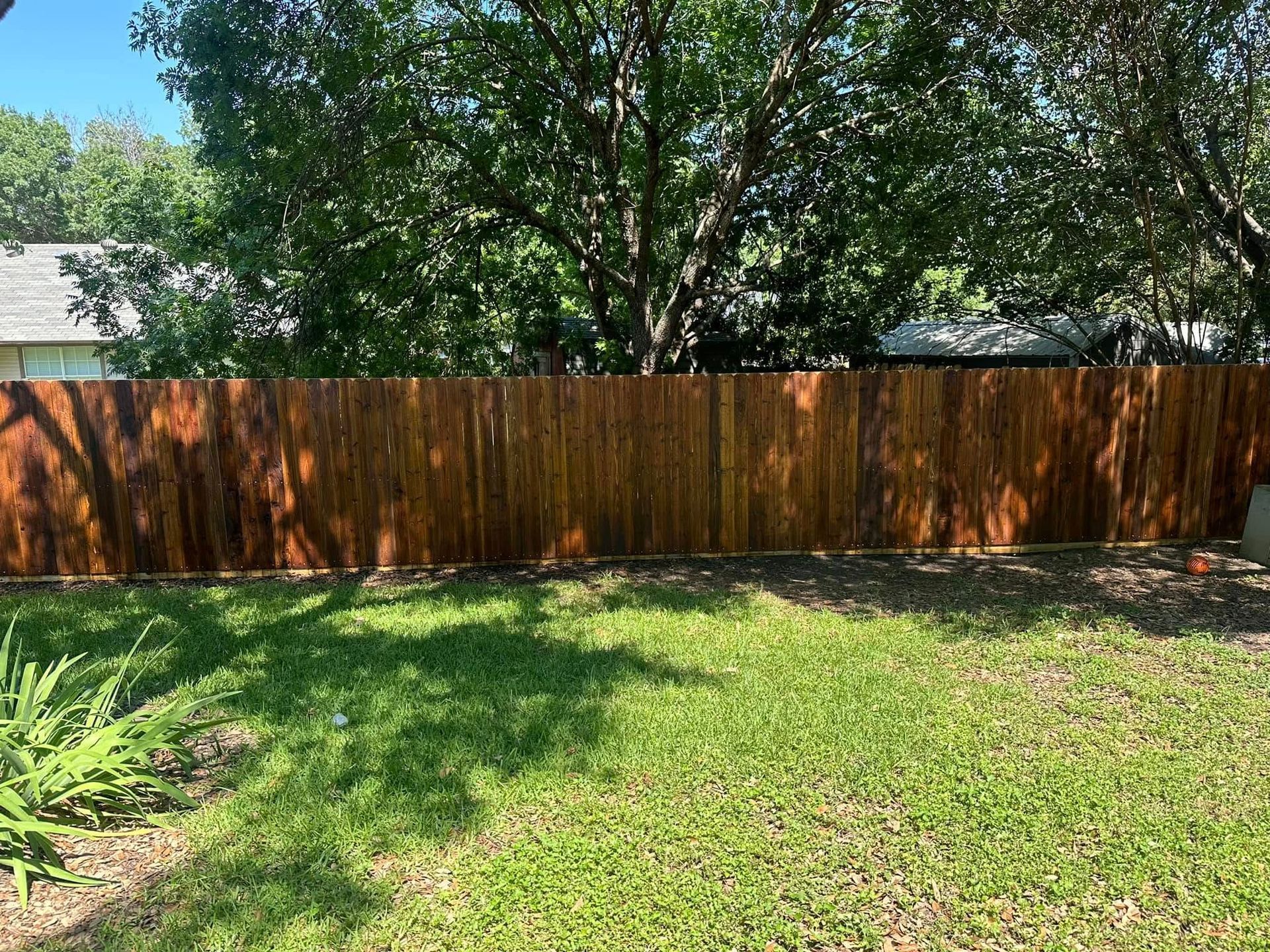 Backyard with wooden fence, green grass, and large trees casting dappled shade
