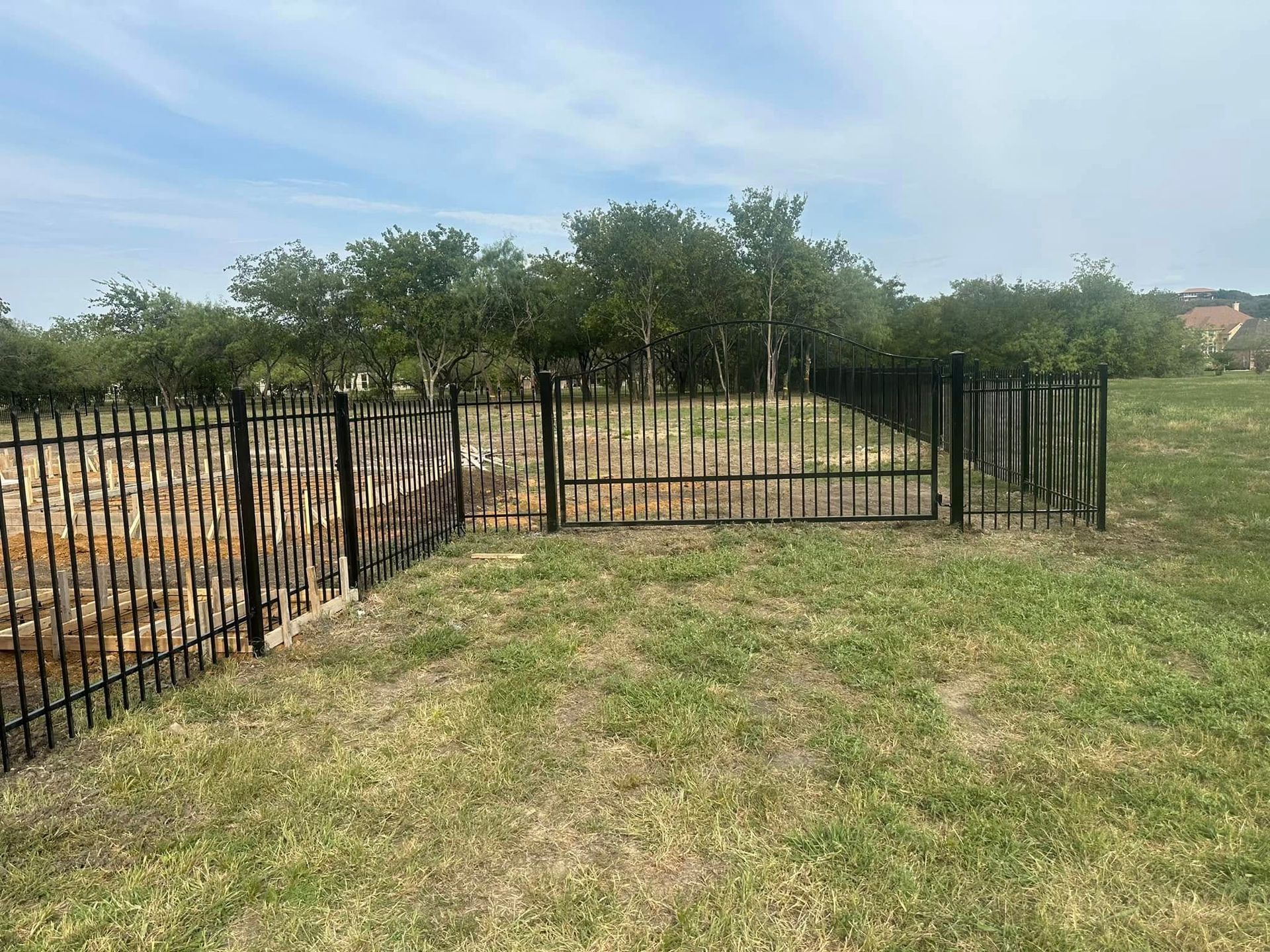 Black metal fence beside a grassy yard and rows of young trees under a clear sky