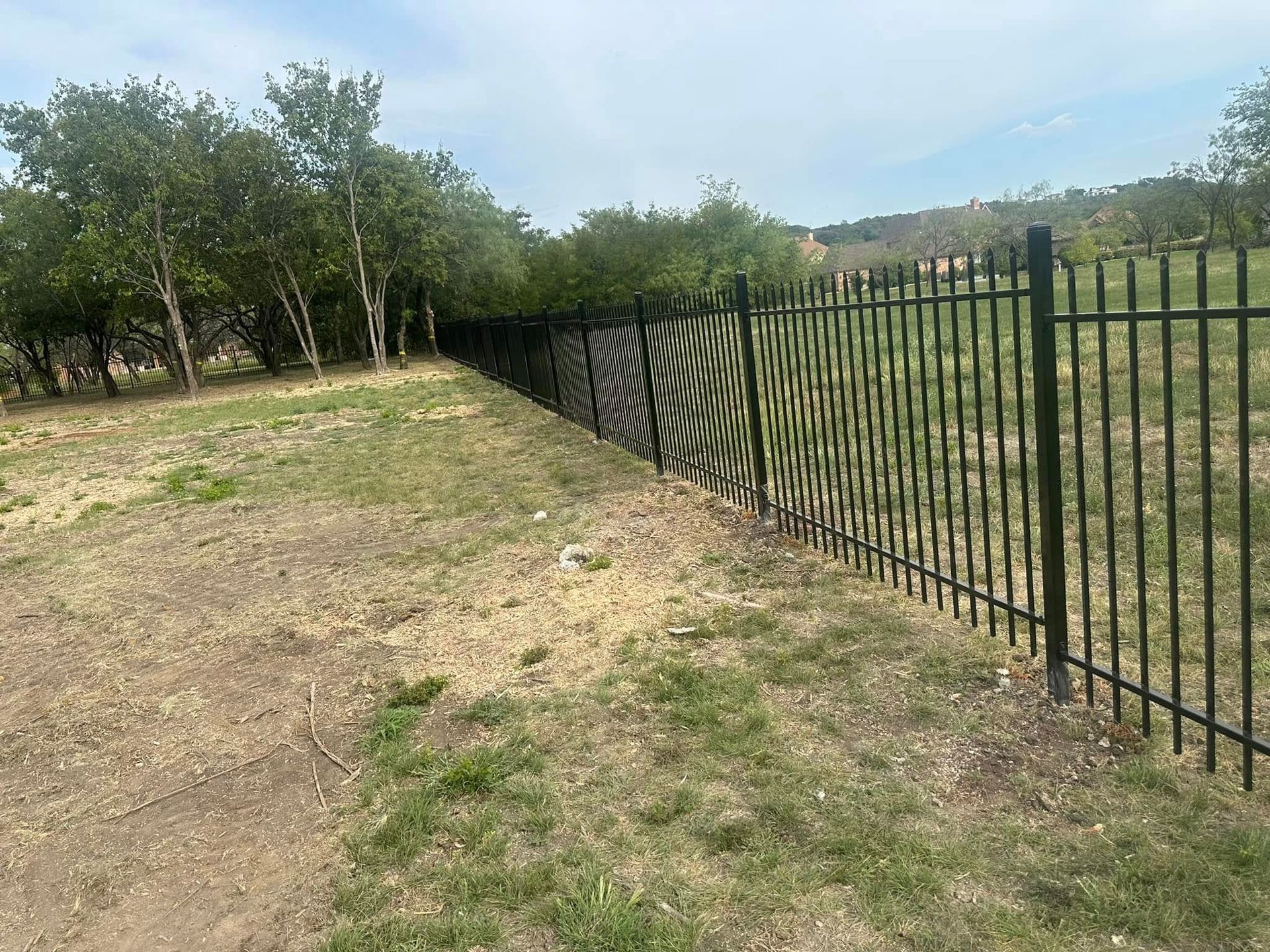 Grassy field beside a black metal fence with trees in the background