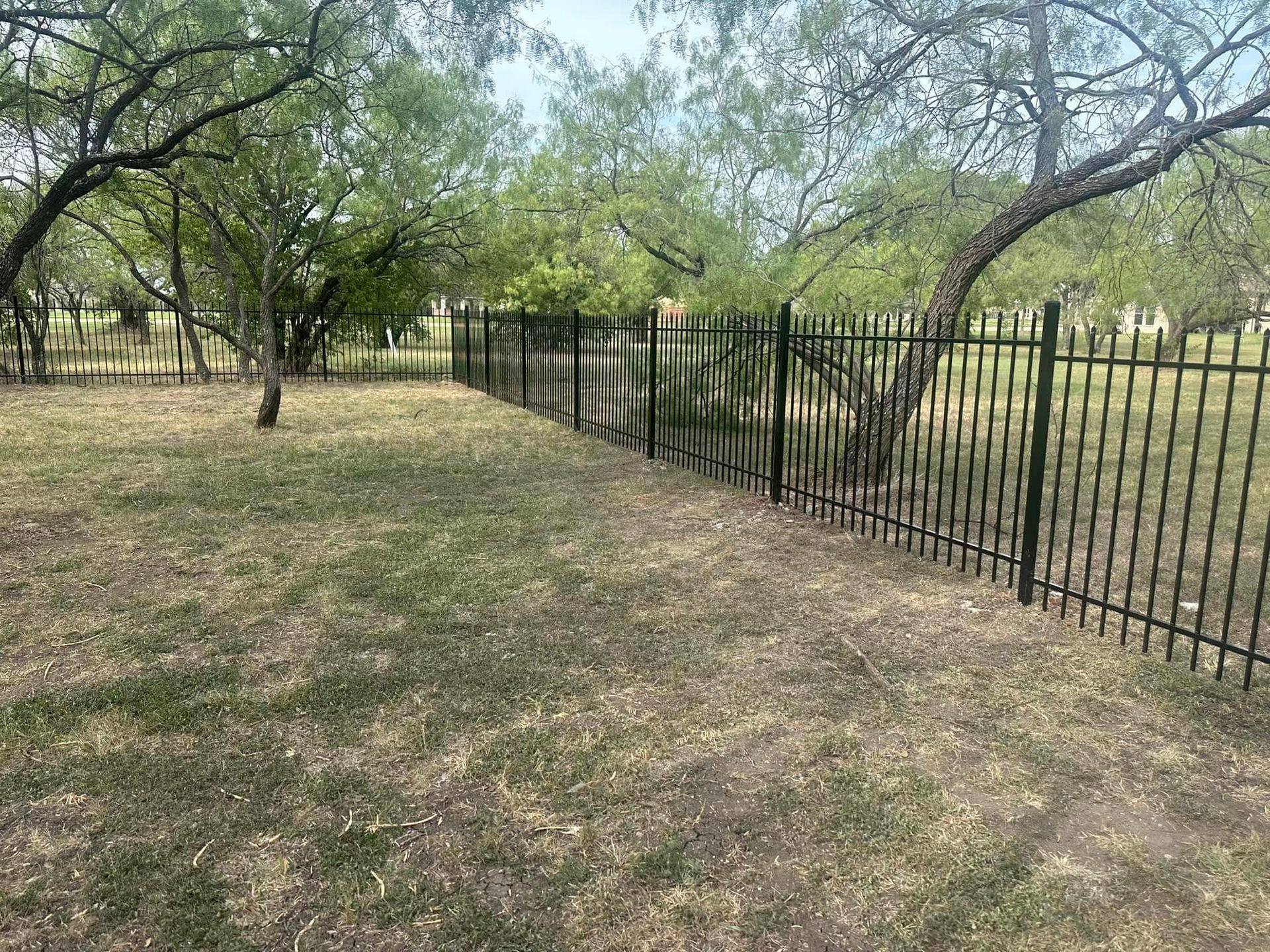 Dry grassy field with scattered trees and a black metal fence along the right side