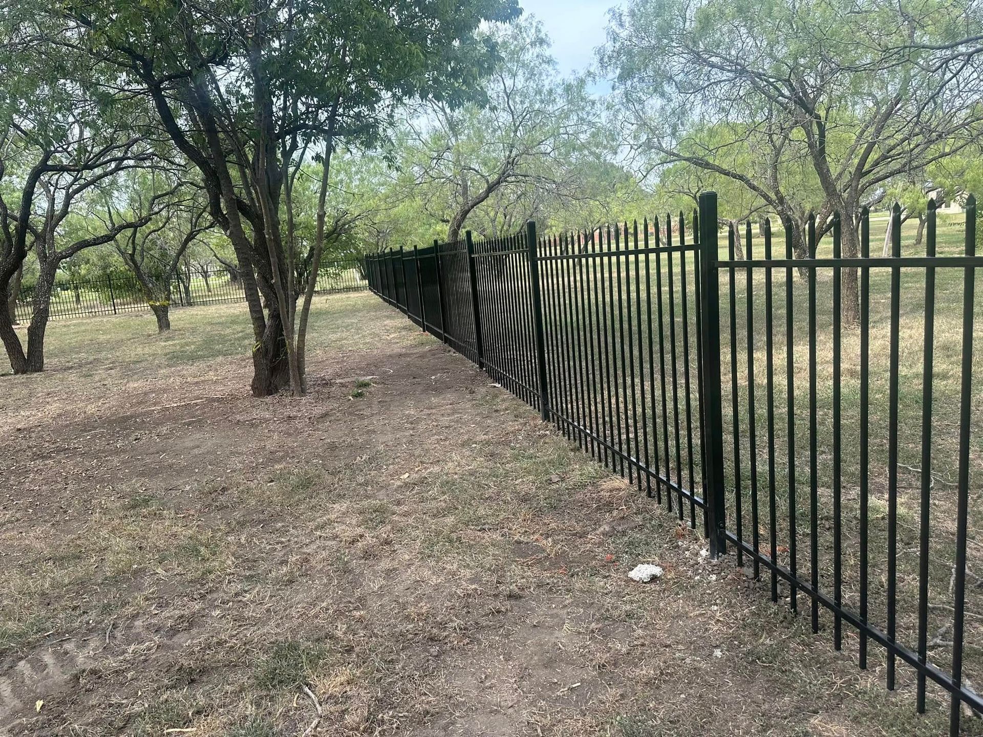 Black metal fence beside a dry grassy orchard with scattered trees