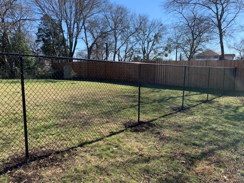 Chain-link fence along a grassy yard under leafless trees on a sunny day.