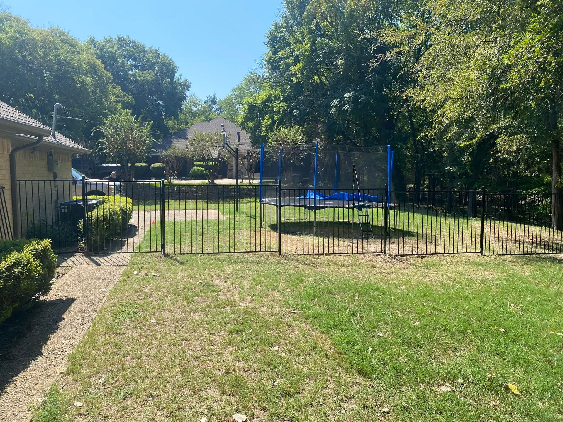 Backyard with a fenced trampoline, grassy lawn, and trees in sunlight