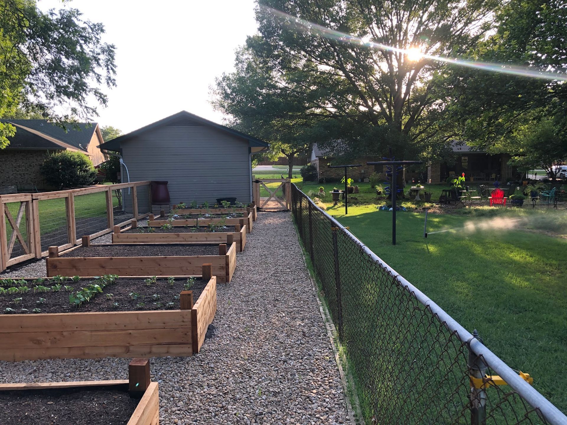 Raised garden beds beside a gravel path, fenced lawn, and sunlit trees in a backyard garden