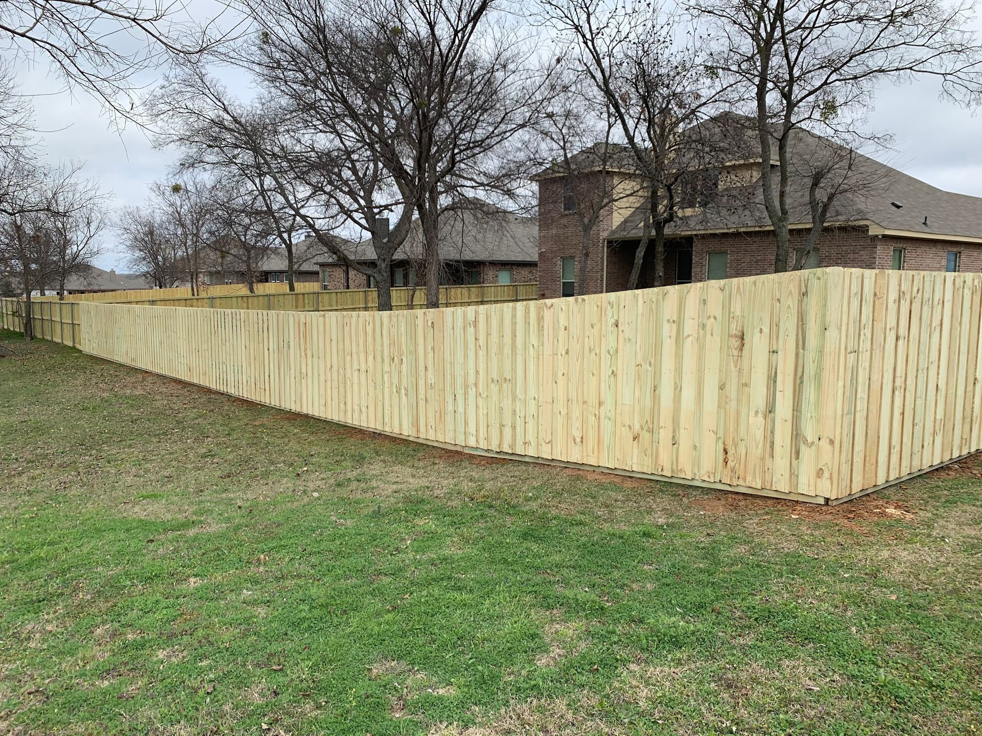 Wooden privacy fence along a grassy yard beside houses and leafless trees
