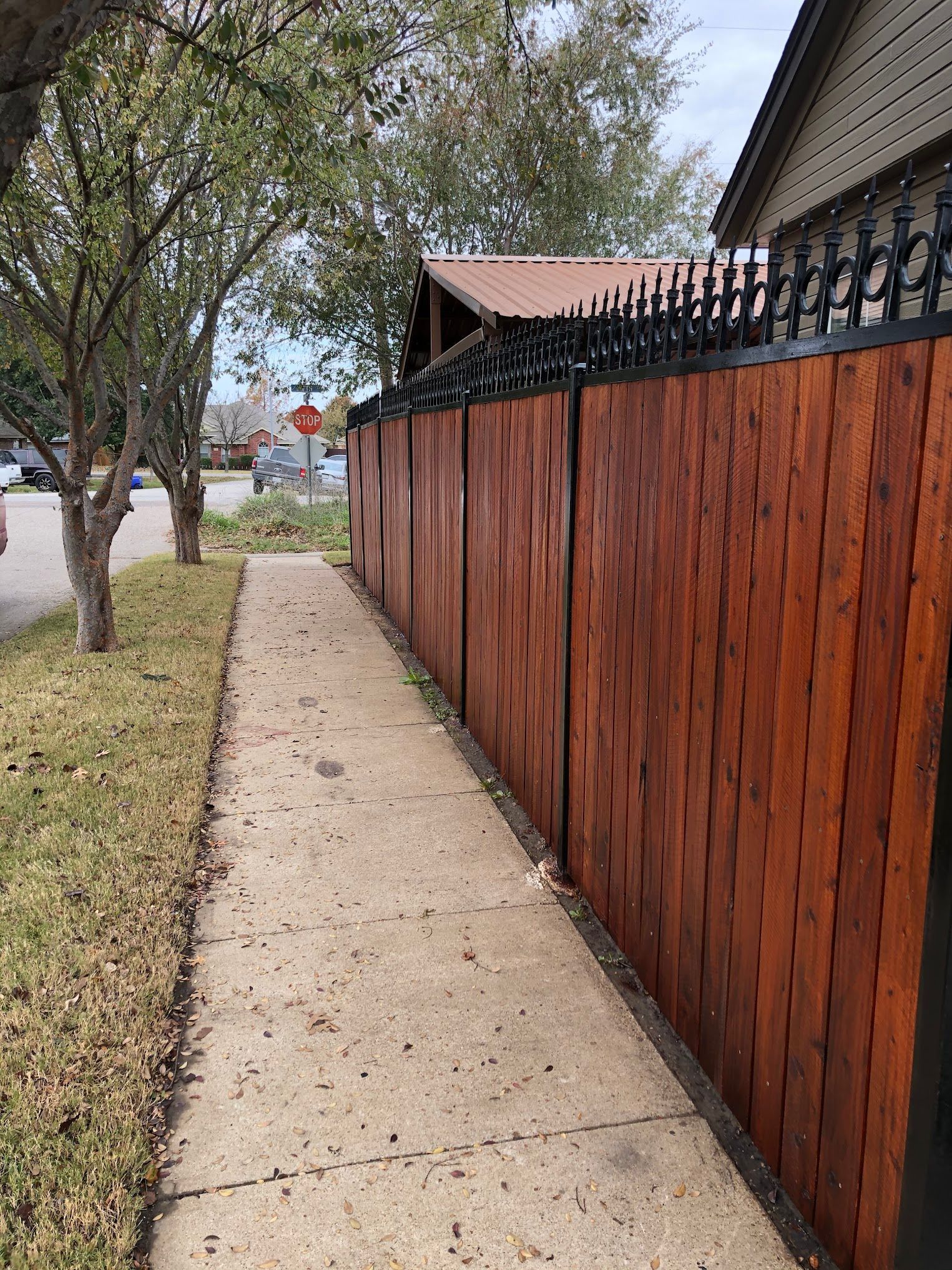 Narrow sidewalk beside a tall wooden fence, lined with trees on a quiet residential street.