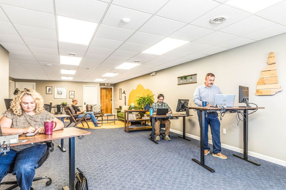 A bright office workspace with three people working at desks, including one person using a standing desk.