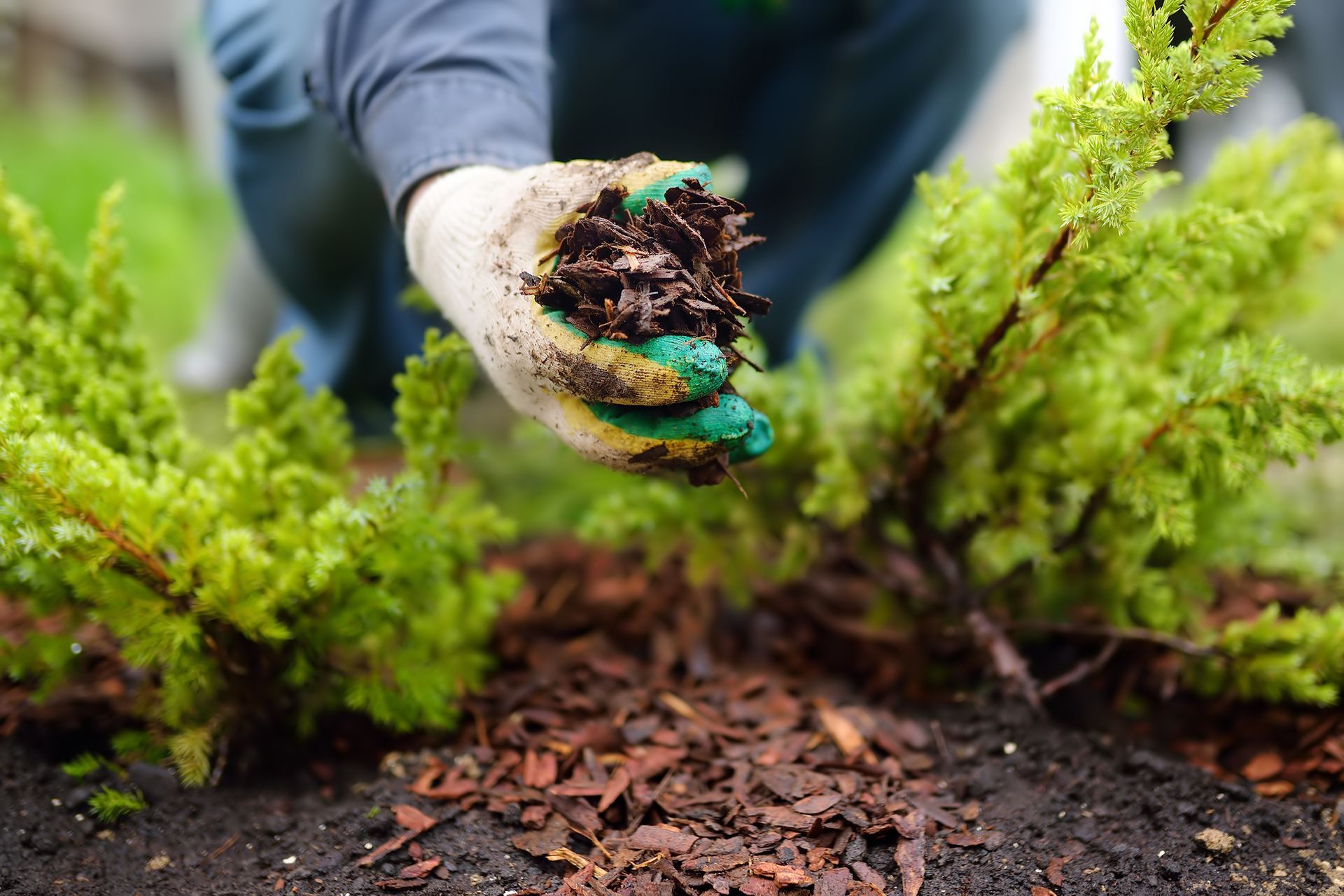 Mulching in Richfield, OH Mulching in Richfield, OH