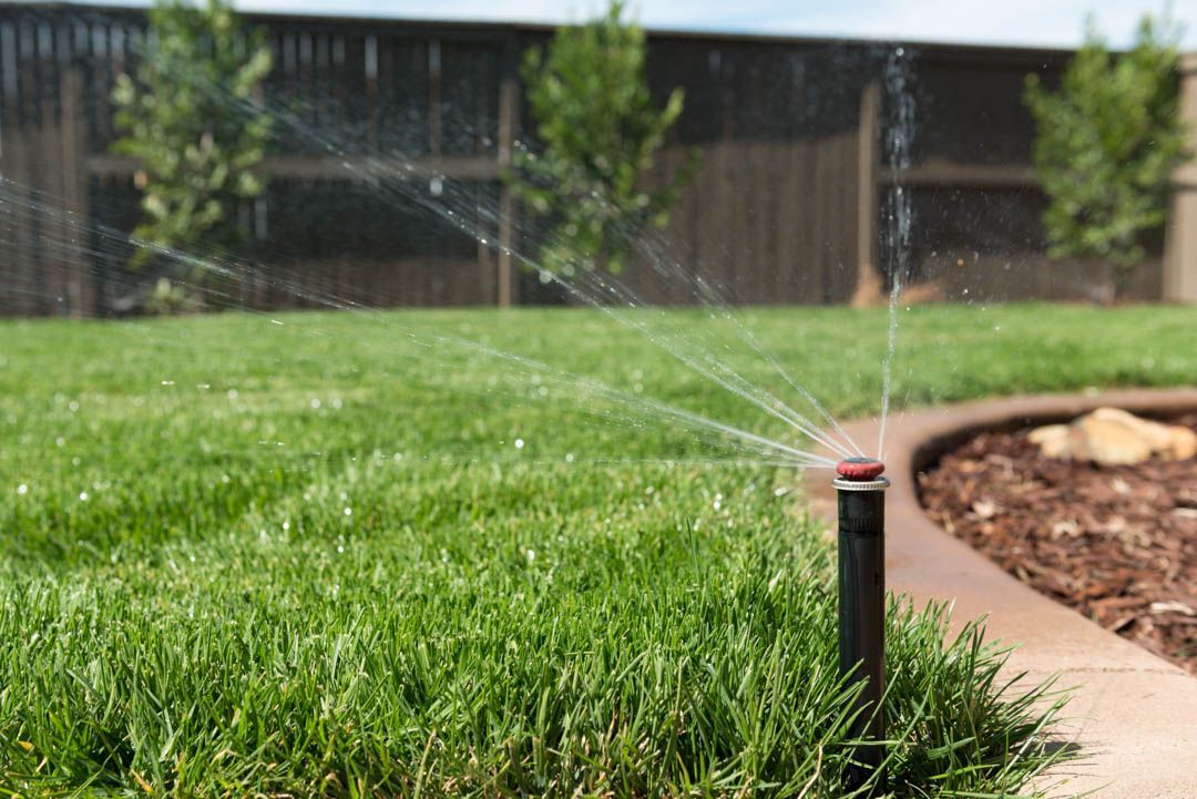 Sprinkler watering green lawn in a yard, with a brown fence and trees in the background.