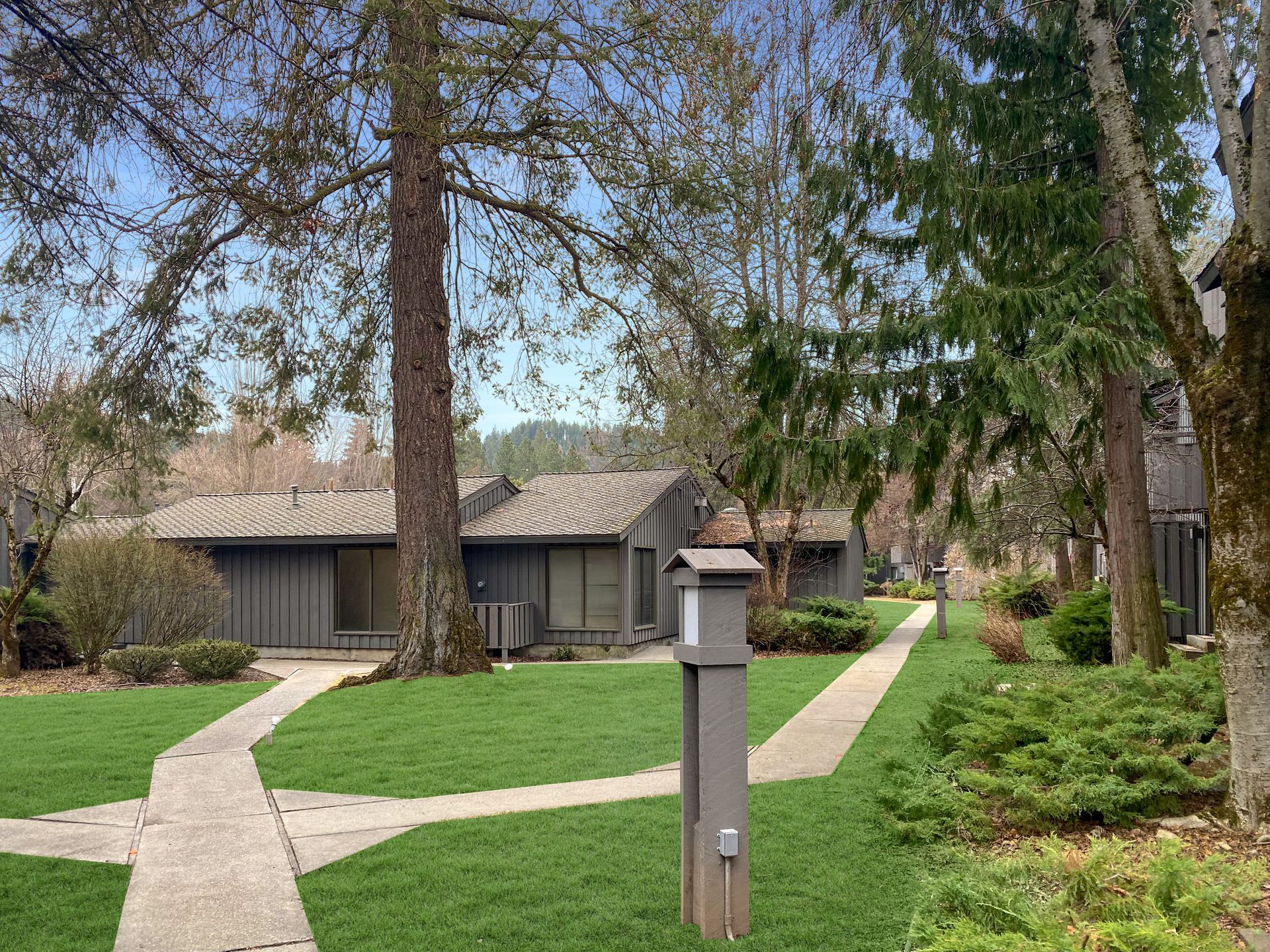 lake villa walkway with trees