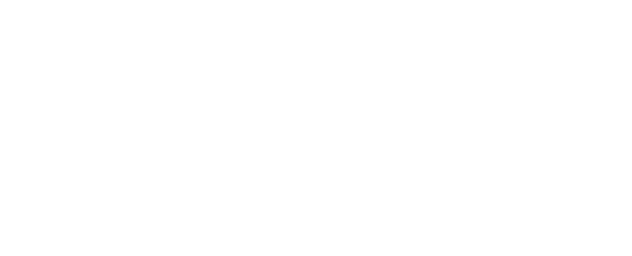 Company Logo - Footer