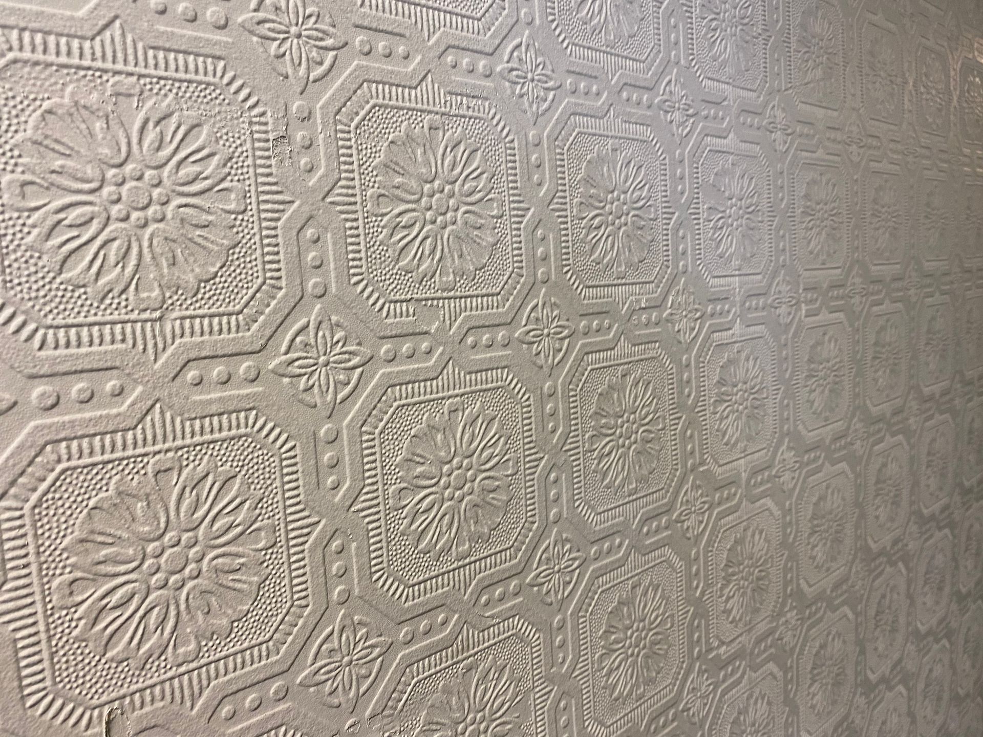 Apartments for rent downtown New Haven, CT