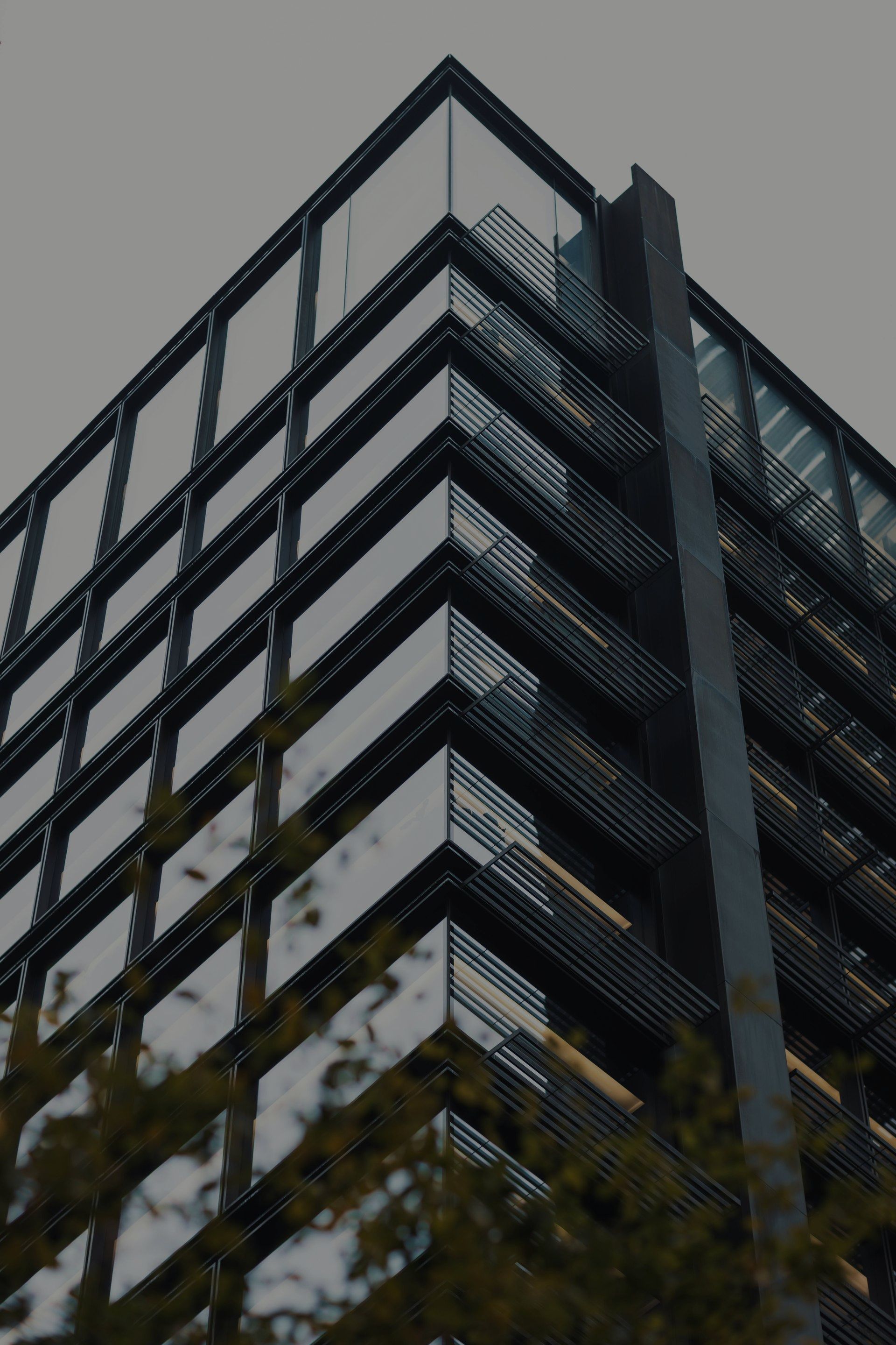 A tall building with a lot of windows and a tree in front of it