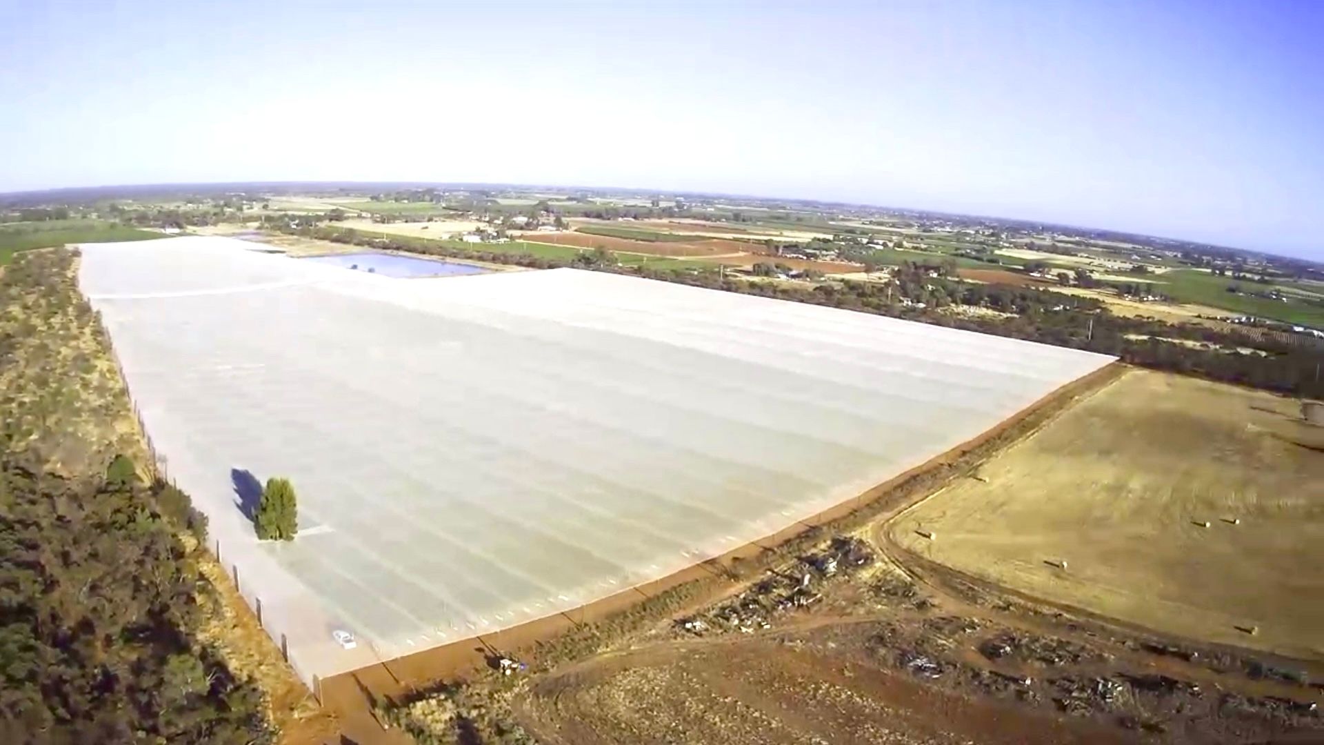 Aerial view of a large white-covered agricultural field beside dry land and distant farmland.