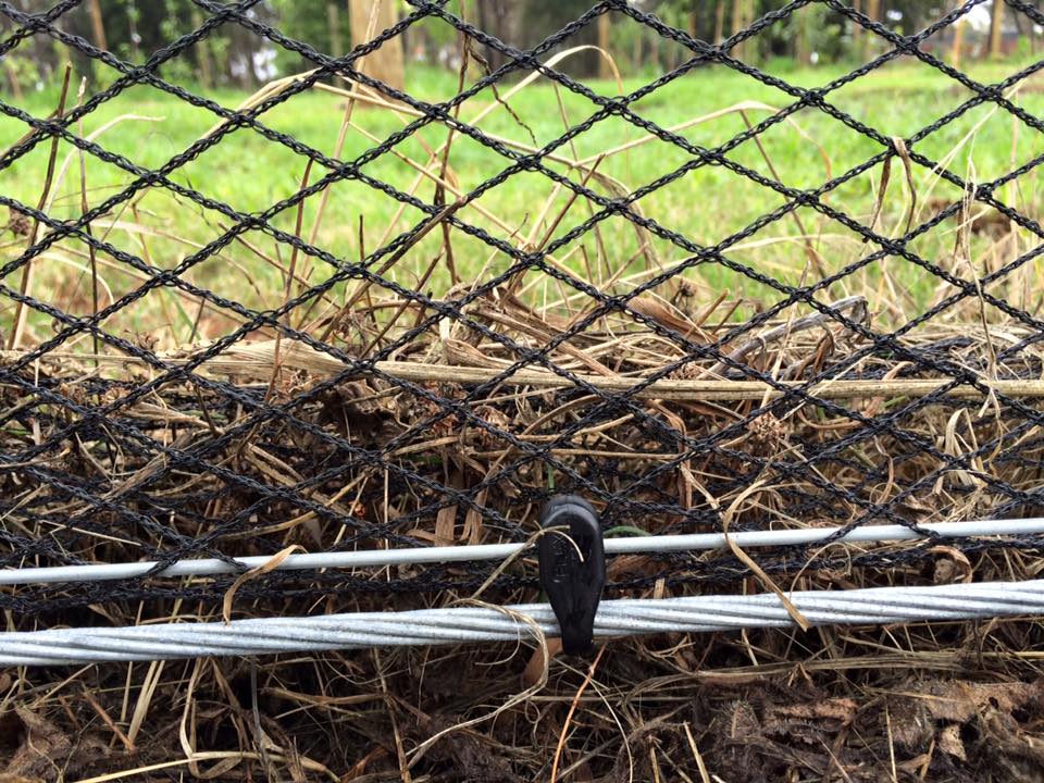Small black bird perched on a wire fence in front of dry brush and green grass