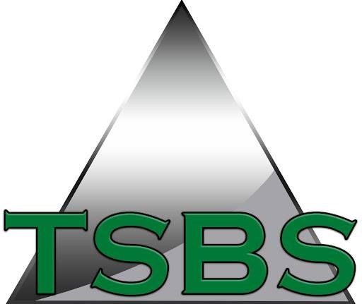 Triangle Small Business Solutions