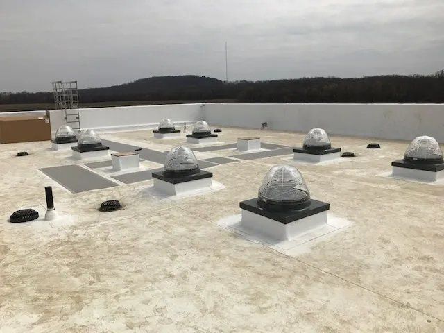 Rooftop with multiple dome skylights and vents under an overcast sky, overlooking water and distant trees