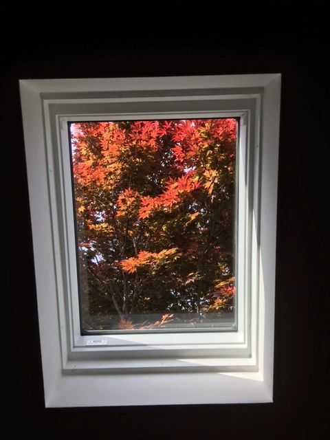 White window frame with a view of red-orange autumn leaves outside