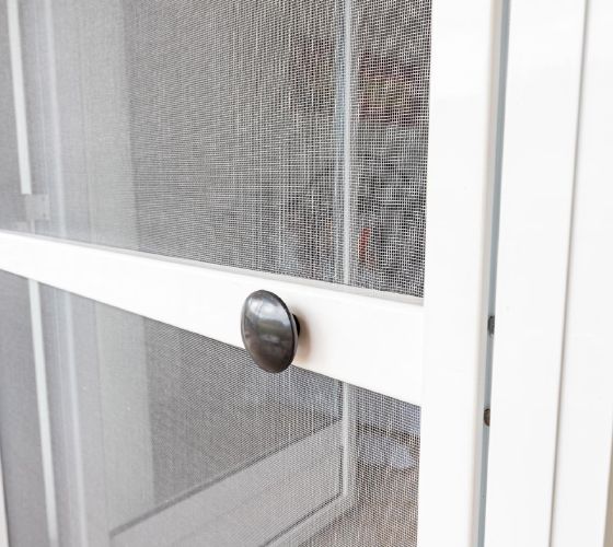Two brown dogs with fluffy fur stand behind a screen door, looking at the camera.