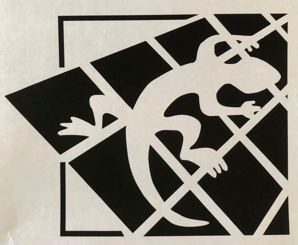 White lizard climbing on a black and white grid inside a square frame.