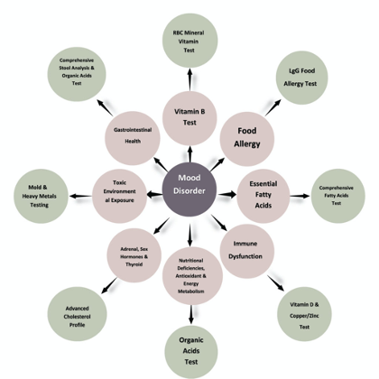 Diagram of tests related to mood disorders: including food allergy, vitamins, and toxic exposure.