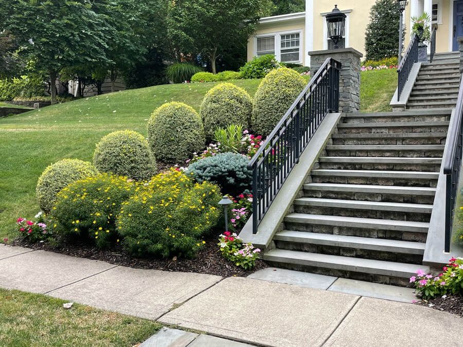 Front steps with black railing beside manicured shrubs and flowers leading to a white house