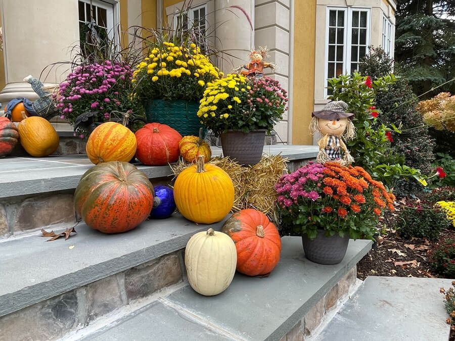 Pumpkins and mums arranged on front steps of a house in autumn.
