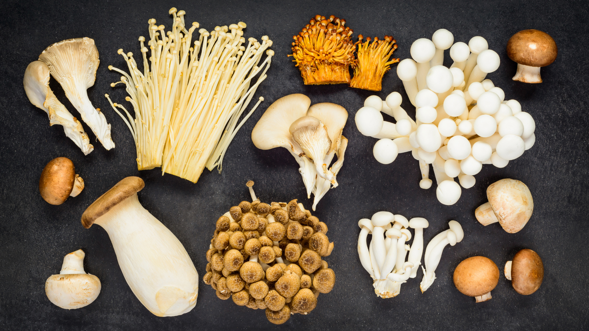 mushrooms
