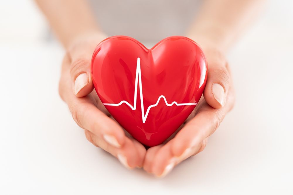 hands holding a red heart