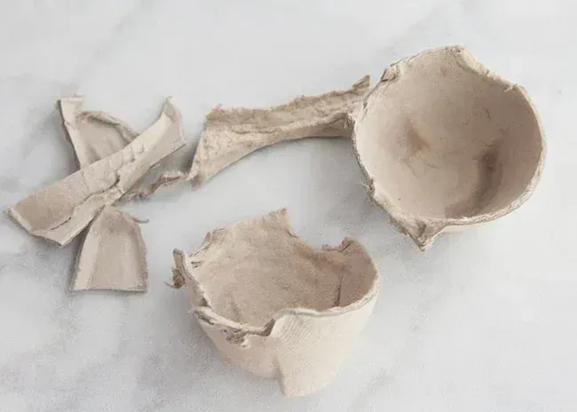 An egg carton that has been cut up