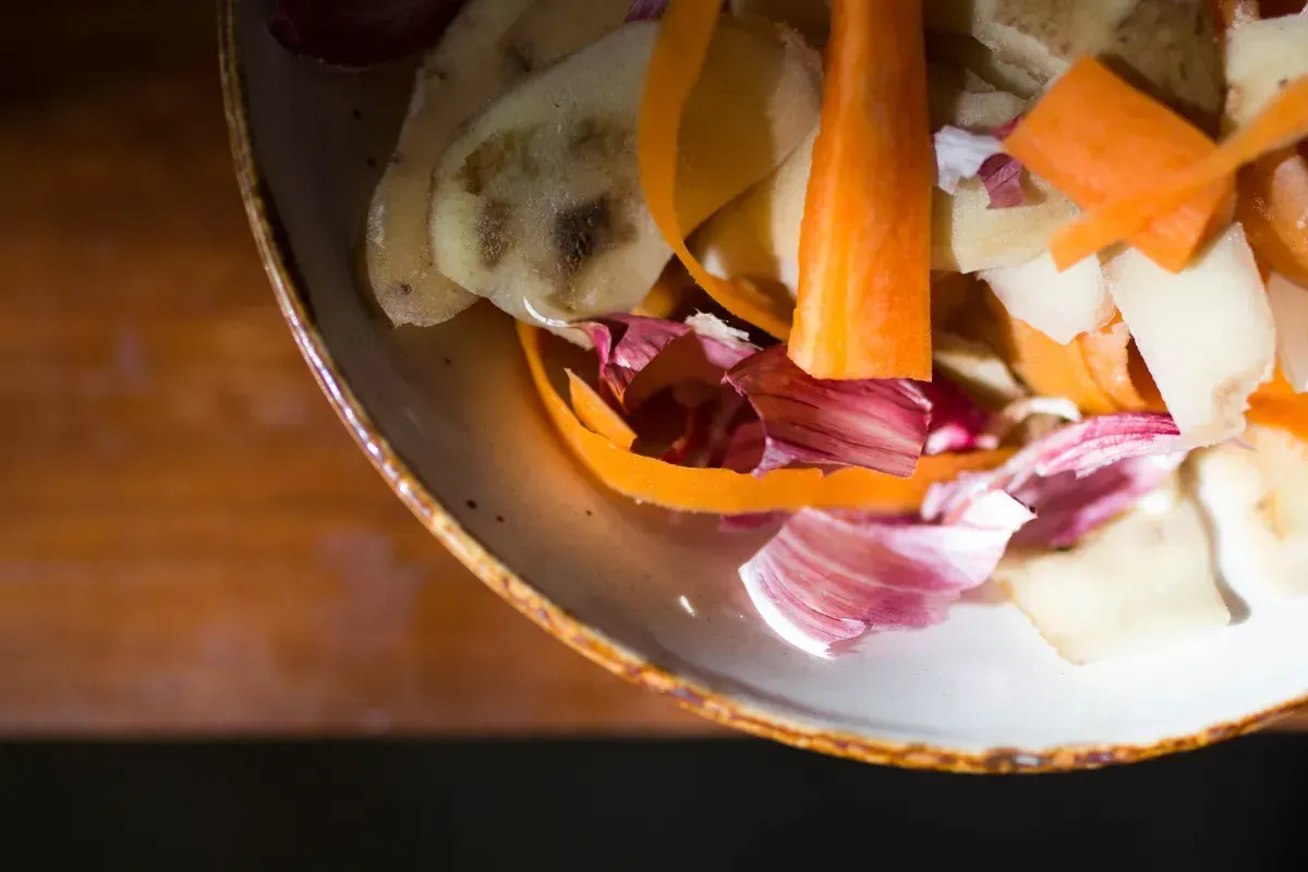 Table scraps from various vegetables sit in a plate