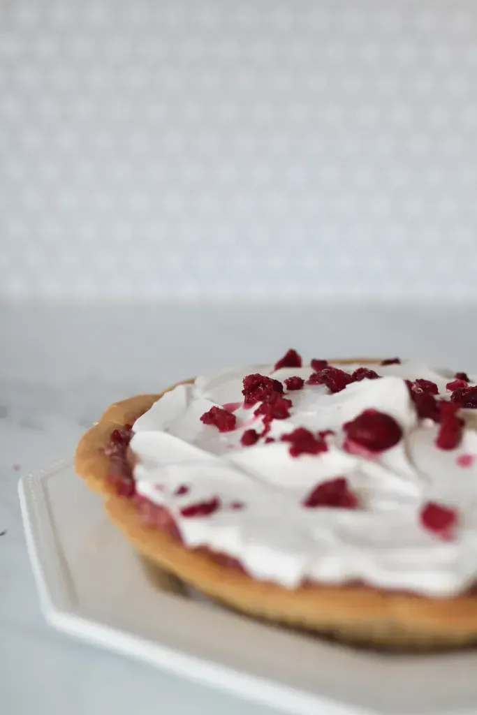 coconut raspberry chocolate ice cream pie