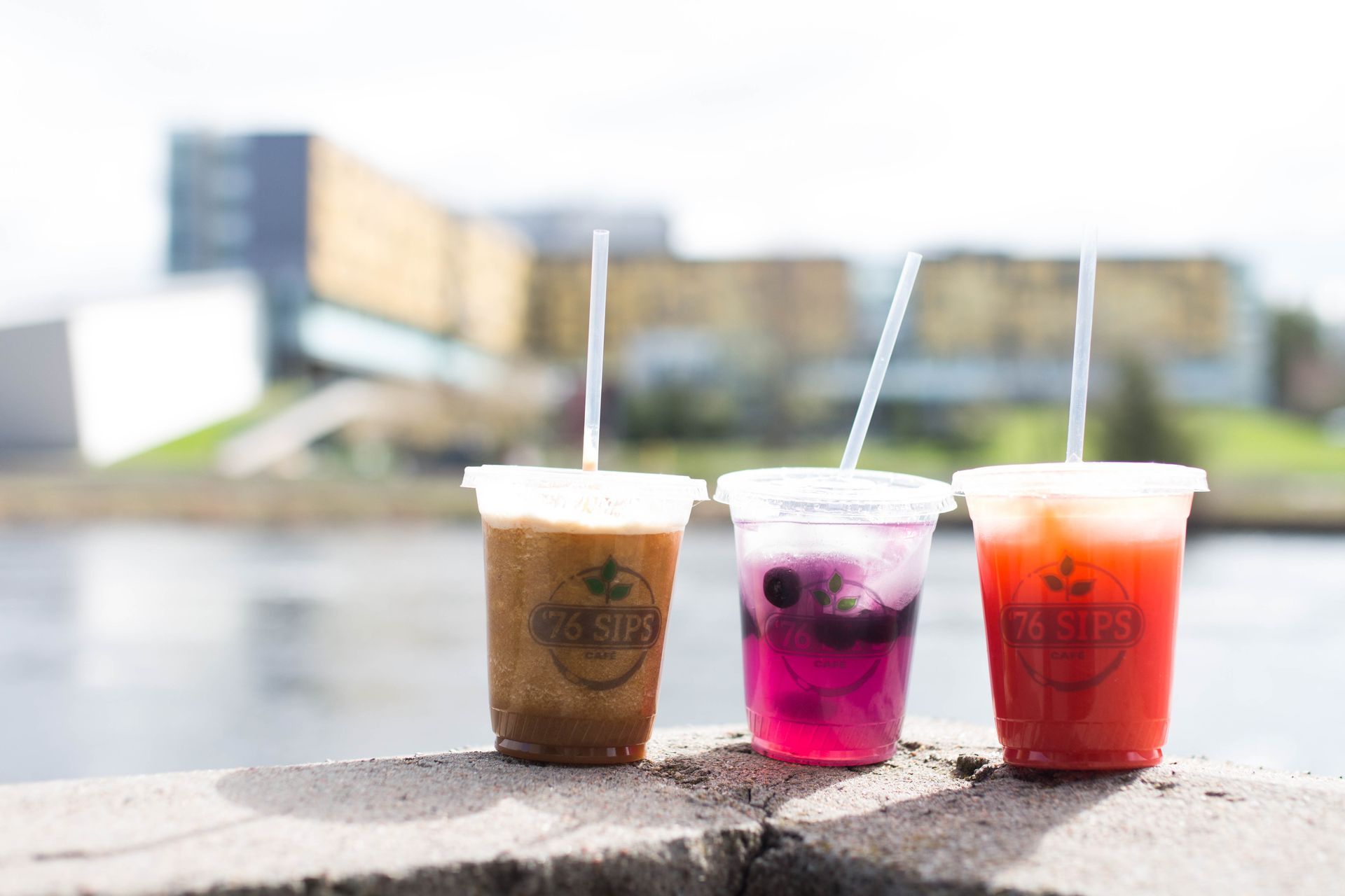 3 plastic cups sitting on a ledge