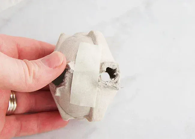 An egg carton