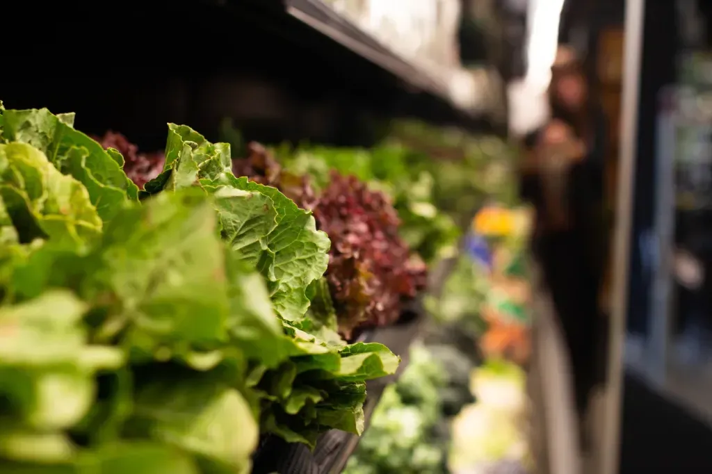 Lettuce and various other vegetables sitting in a cooling freezer
