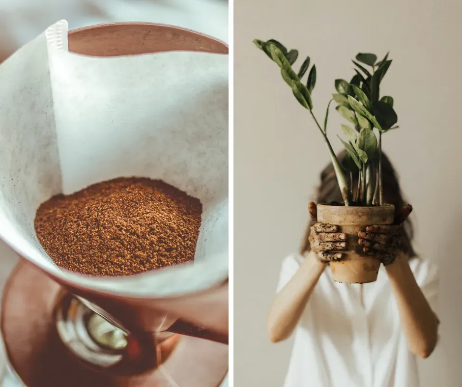 a paper filter filled with soil and a woman holding up a potted plant
