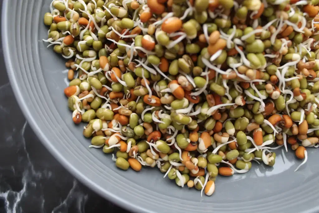 Legumes in a bowl