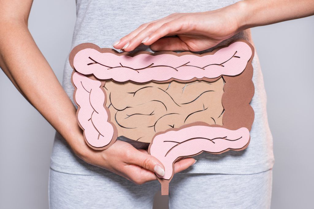 a woman holds a cardboard cutout of a picture of a colon over her stomach