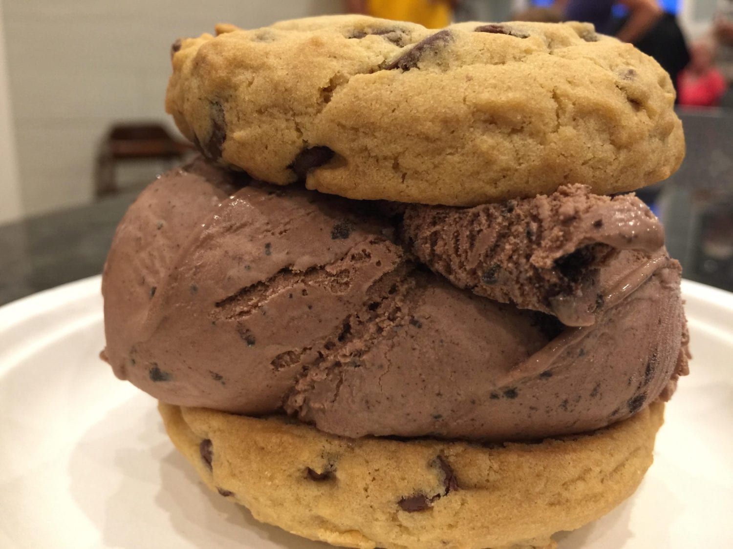A cookie and ice cream sandwich on a white plate