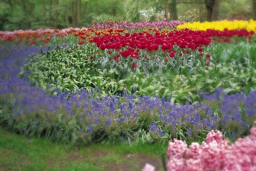 Spring gardens