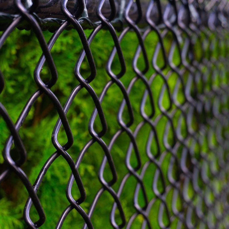 Close-up of a black chain-link fence with green foliage blurred behind it