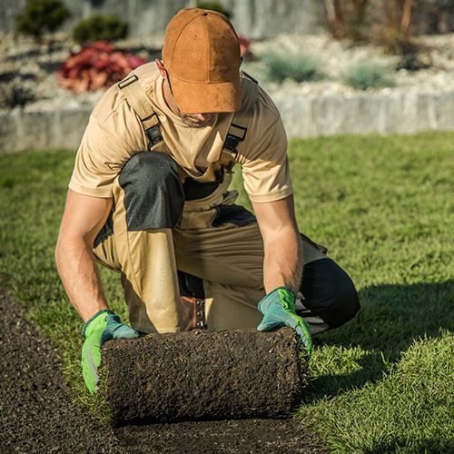 Man Installing Artificial Turf — Riverside, CA — Paz Landscape and Concrete Man Installing Artificial Turf — Riverside, CA — Paz Landscape and Concrete